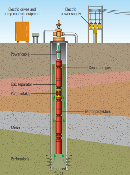 General arrangement of electrical submersible pump